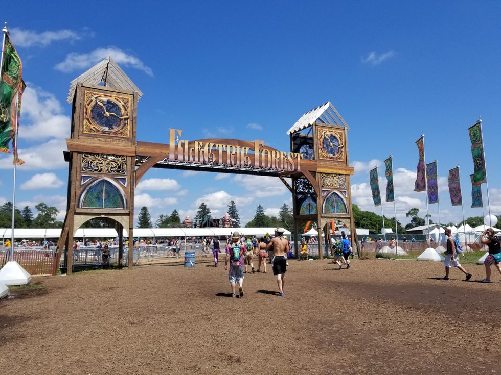 My First Time At Electric Forest