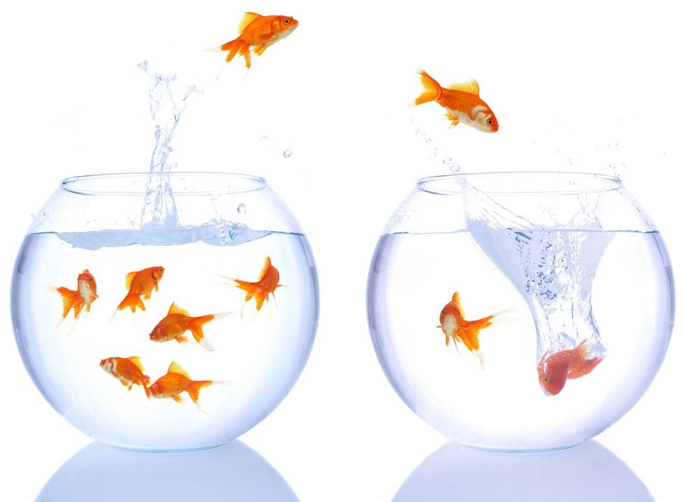 14 Questions To Ask Yourself If You Are Thinking About Transferring