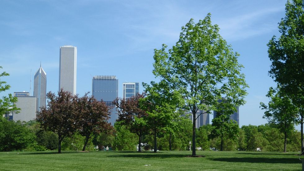 5 Discoveries About Spending The Summer In Chicago