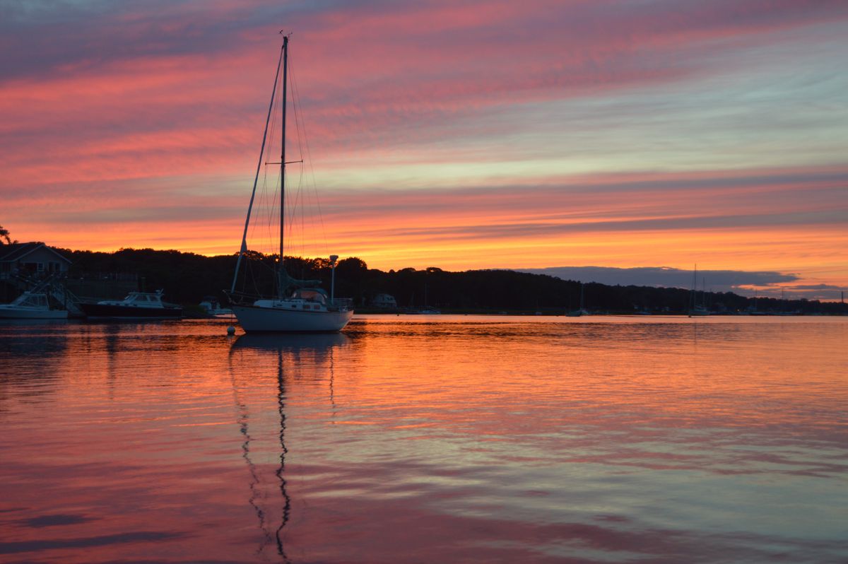 A Walk-Through: The Kickemuit River