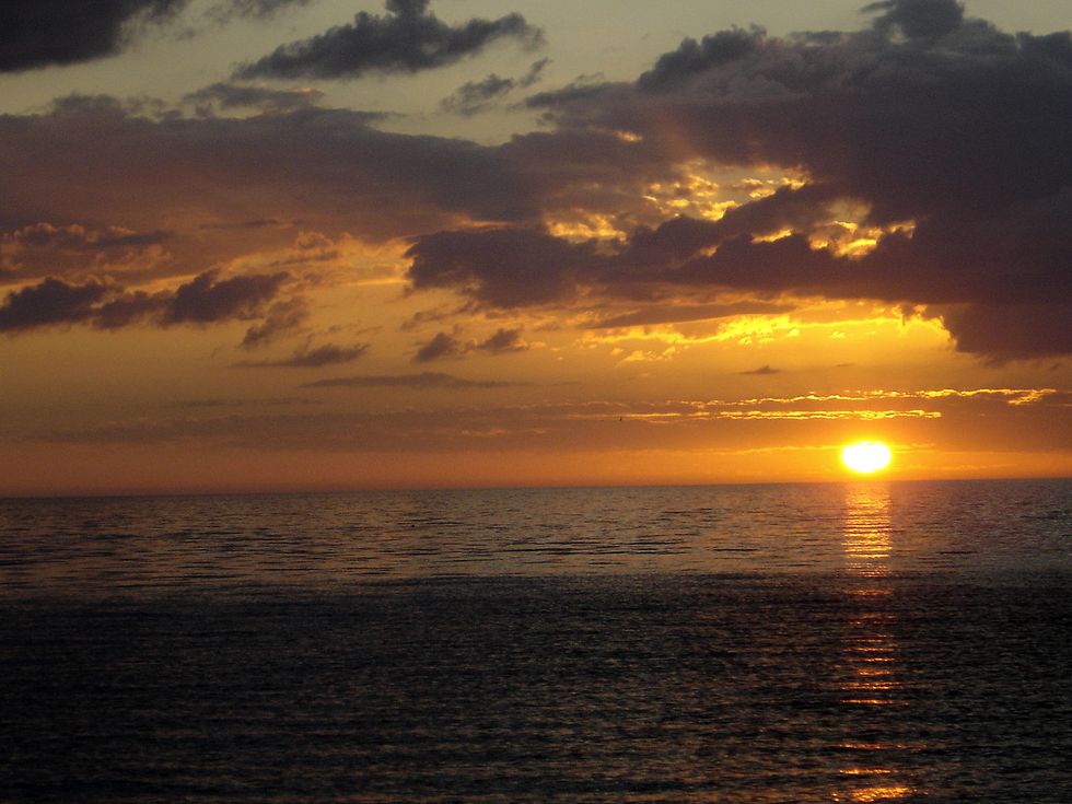 From Every Day to Never