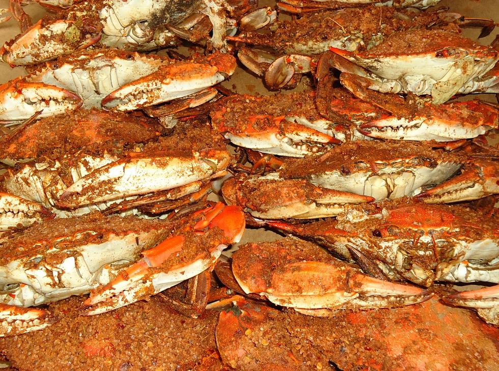 7 Best Places To Get Crabs In Baltimore