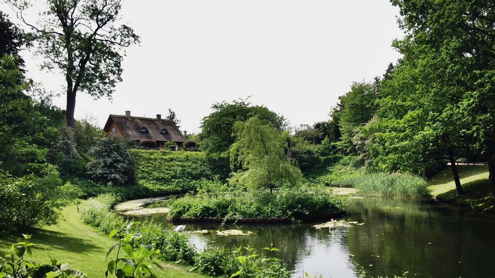 Wenyun: The Social Butterfly