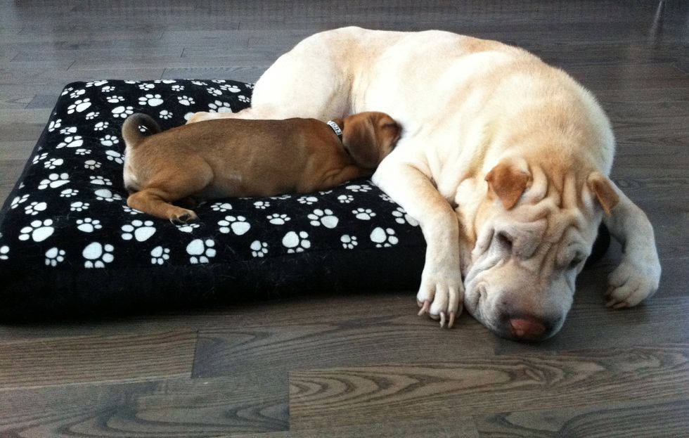 7 Signs That You're A Nap Person