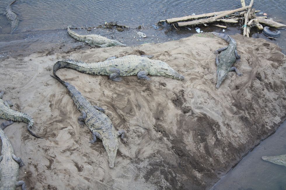 Life Post Graduation