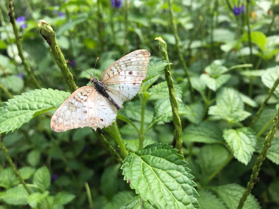 An Open Letter To Myself About Going Into College Without Really Being Single For 5 Years