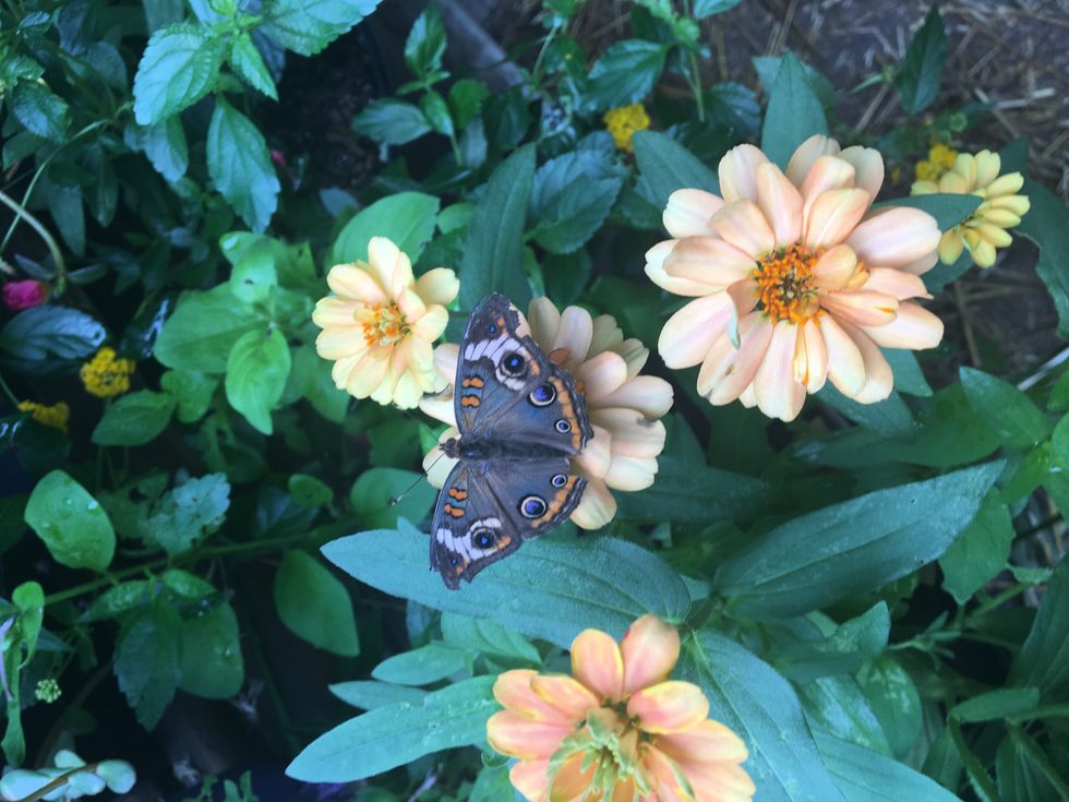 5 Signs That You're An Independent Spirit