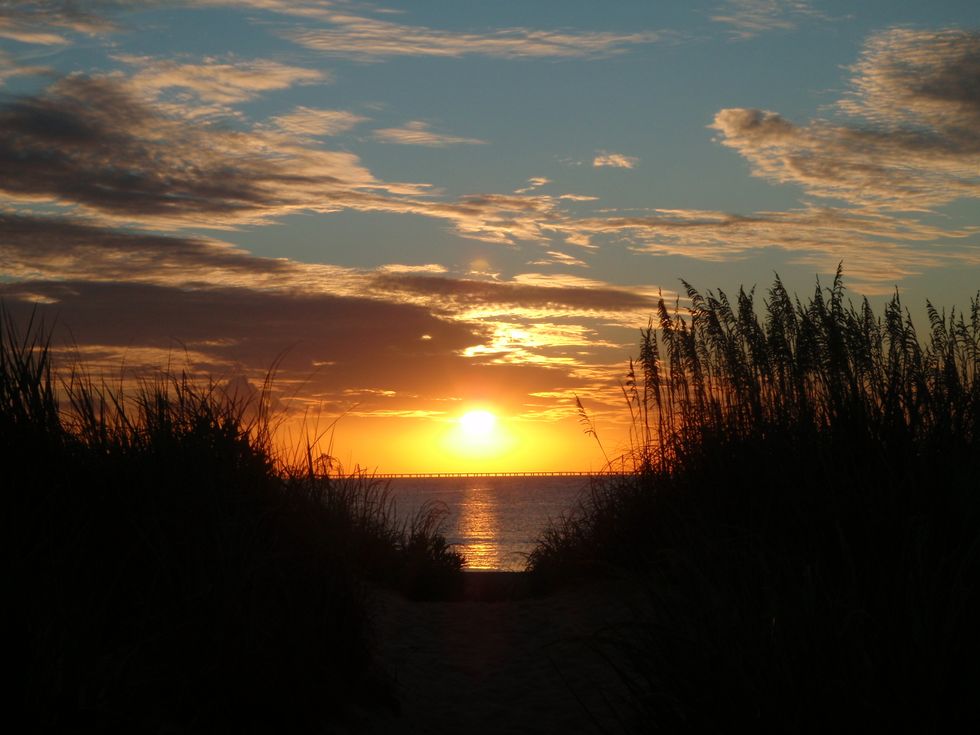 Plot Twist: I'm in Love with the Eastern Shore