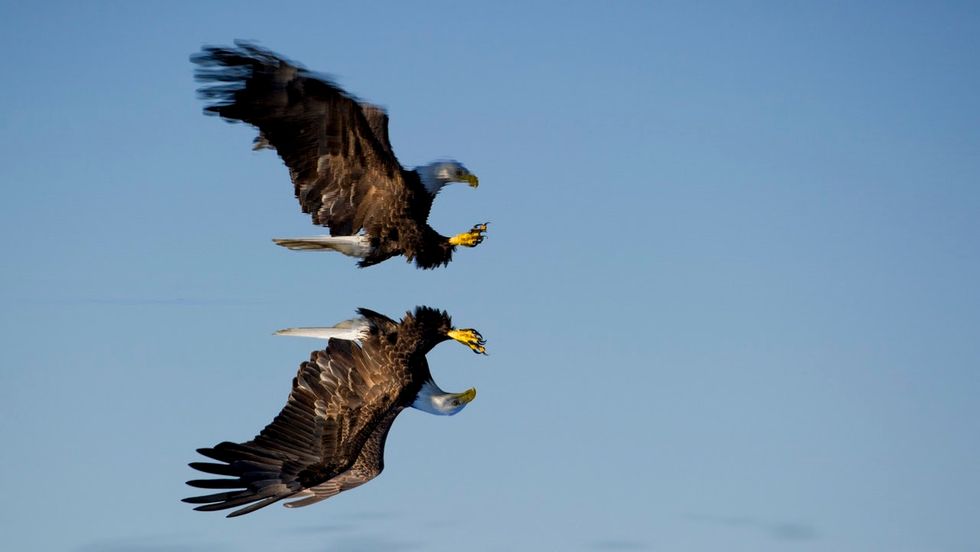 We Must Stand United This Fourth Of July