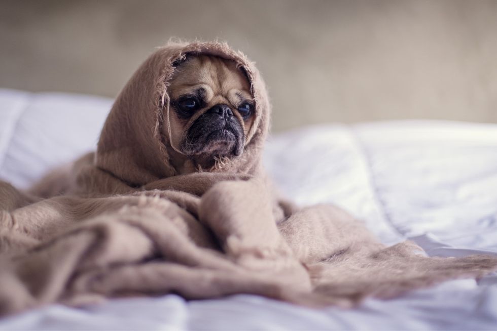 15 Things You Do Whenever You’re Cold