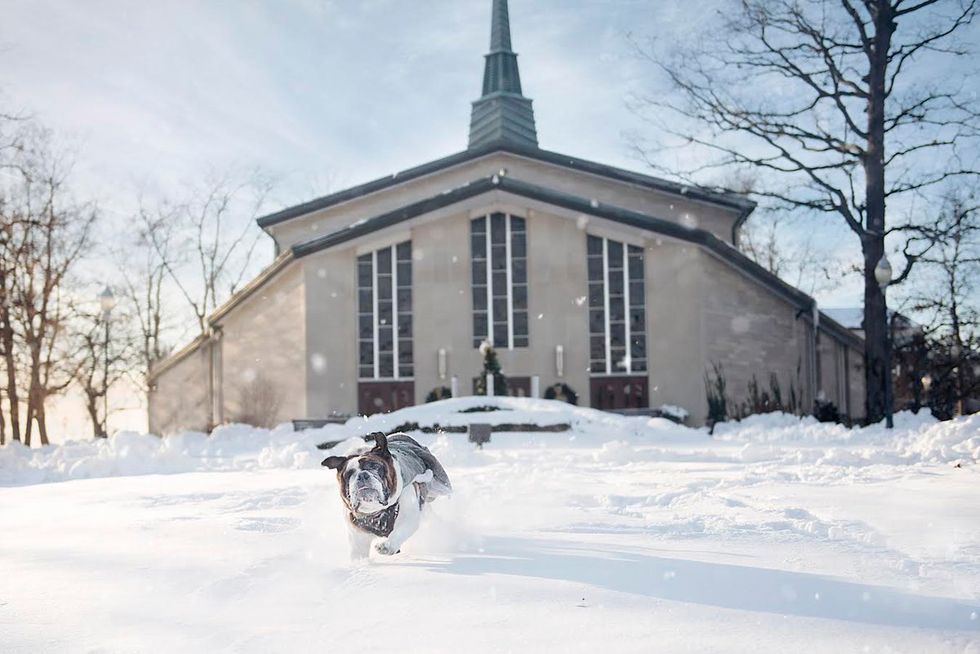 11 Things You Need to Survive A Michigan Winter