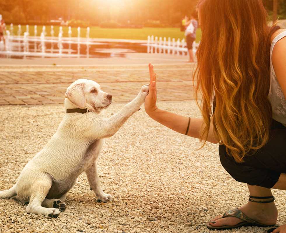 10 Signs That You And Your Dog Are True #RelationshipGoals