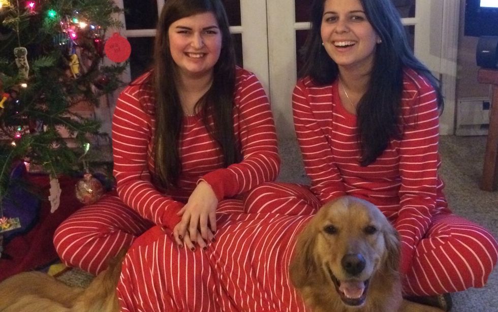 What Dog Breed You Are, Based On Your Zodiac Sign