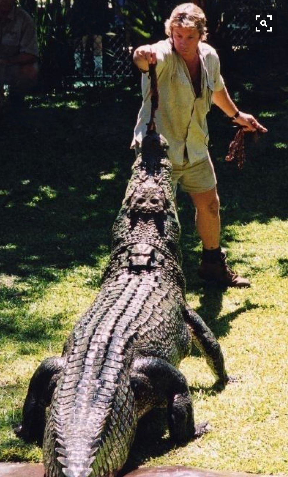 Missing The Crocodile Hunter The Odyssey Online