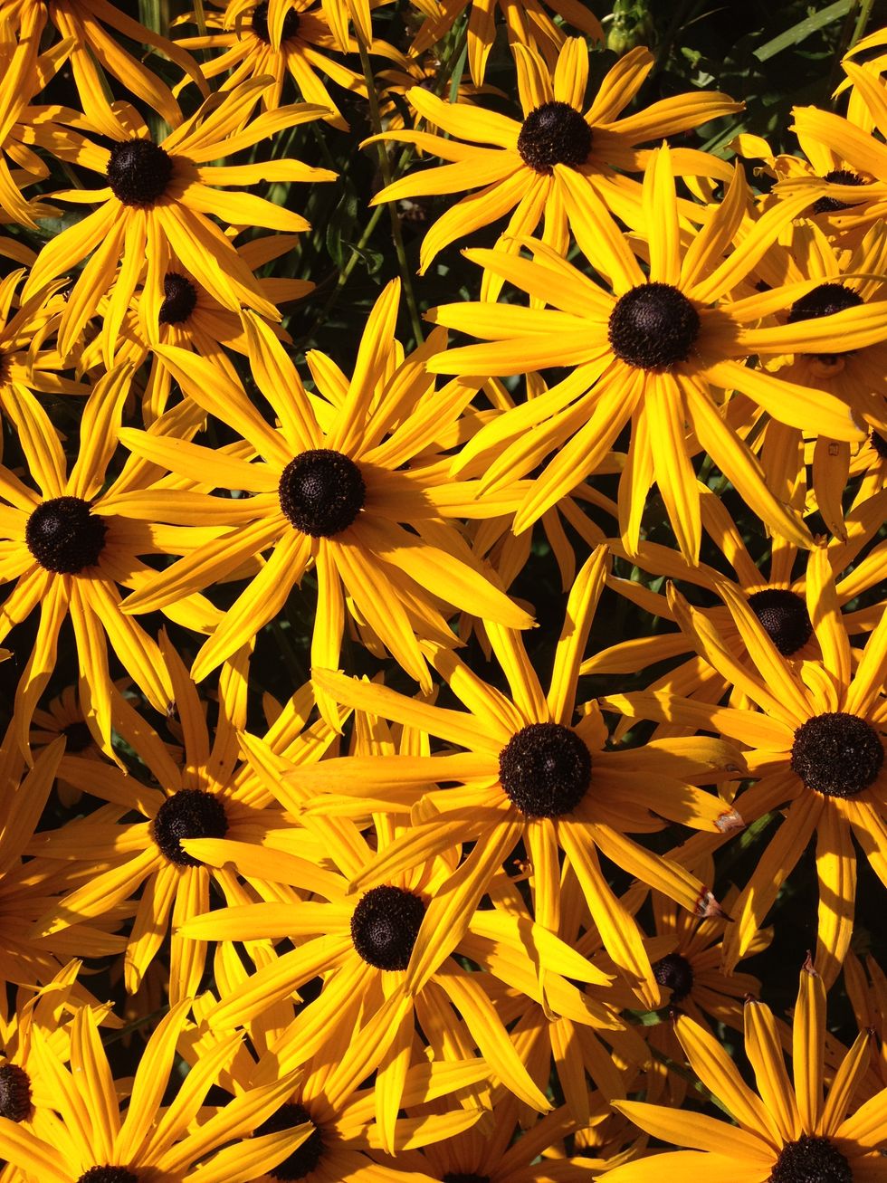 5 Things Graduating High School Seniors Need to Know