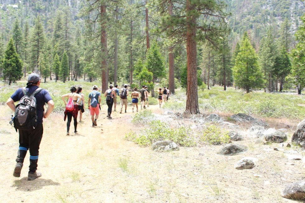 Family Can Be More Than Your Blood