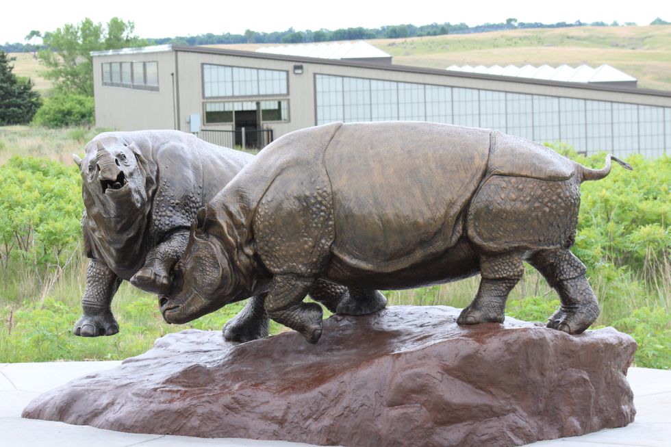 Ashfall Fossil Beds, A Hidden Treasure