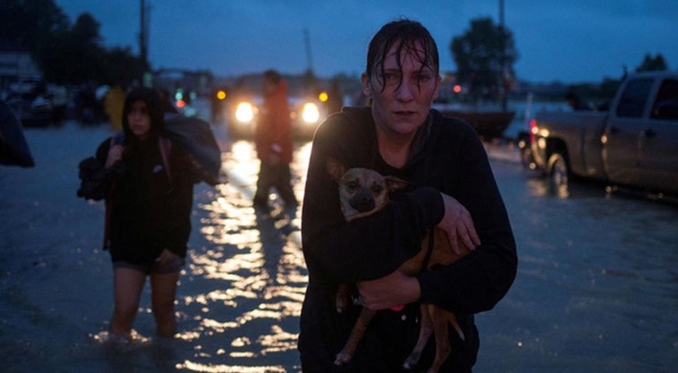 Thank You To The Heroes Of Hurricane Harvey, From A Texan