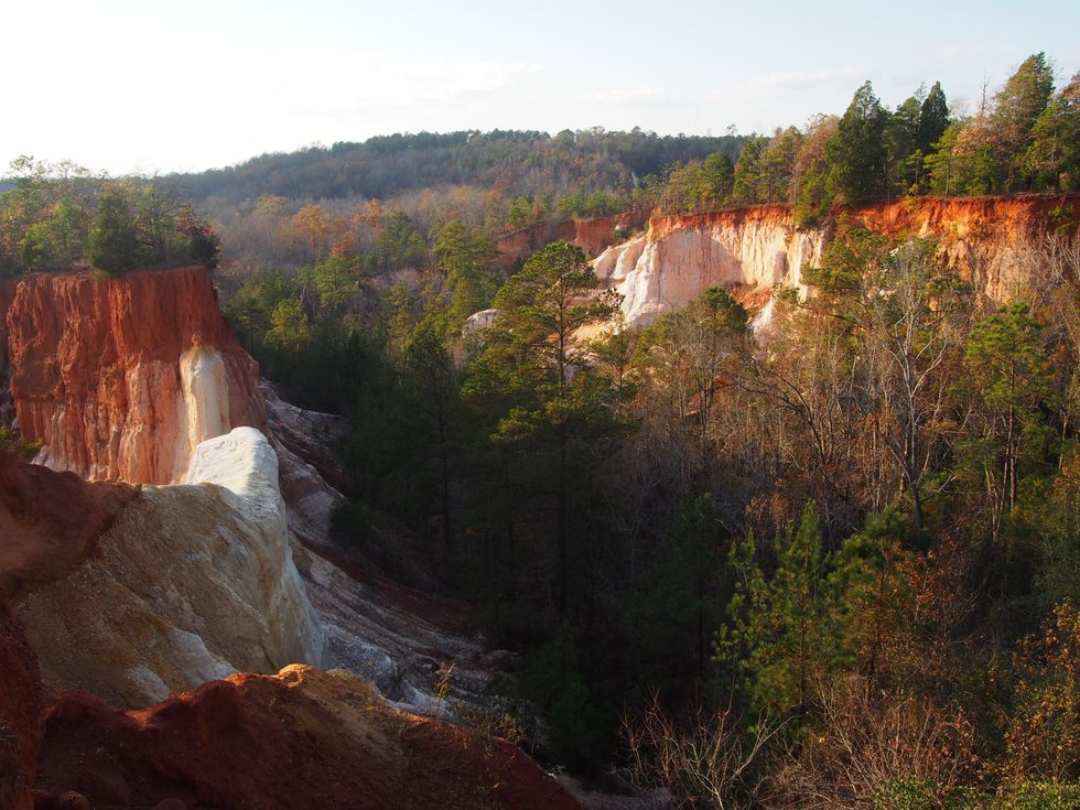 Hike Of The Month: Providence Canyon State Park