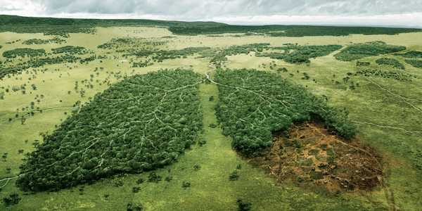 10 Easy Steps To Save The Earth