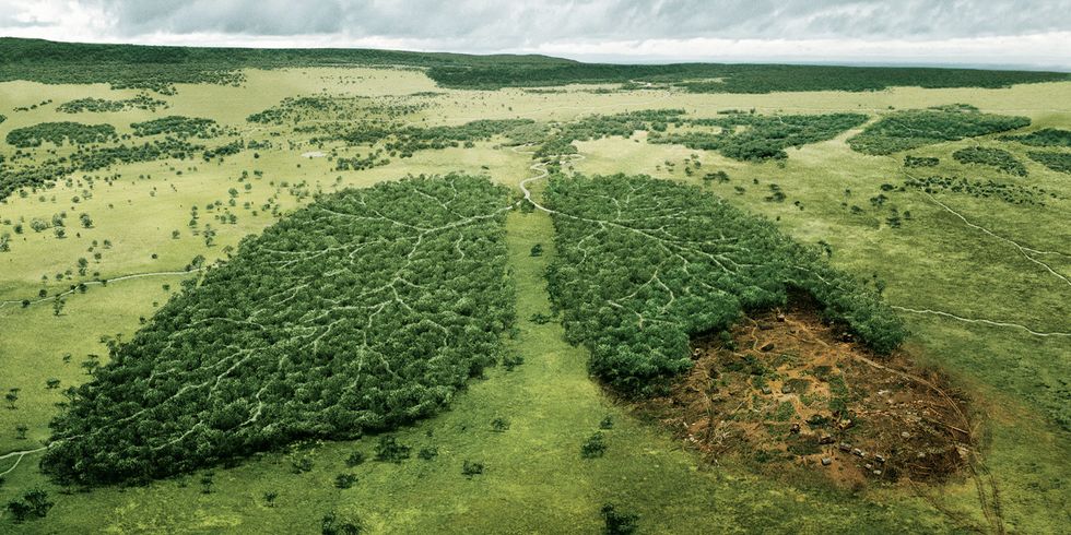 10 Easy Steps To Save The Earth