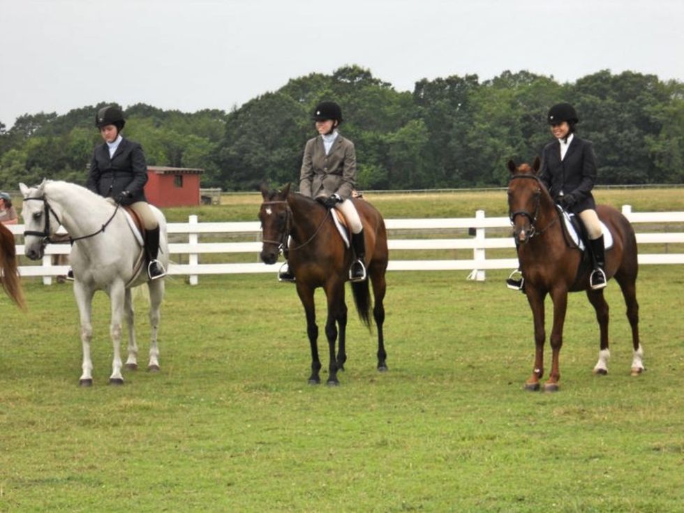 14 Things You Learn Hands-On In A 4H Club