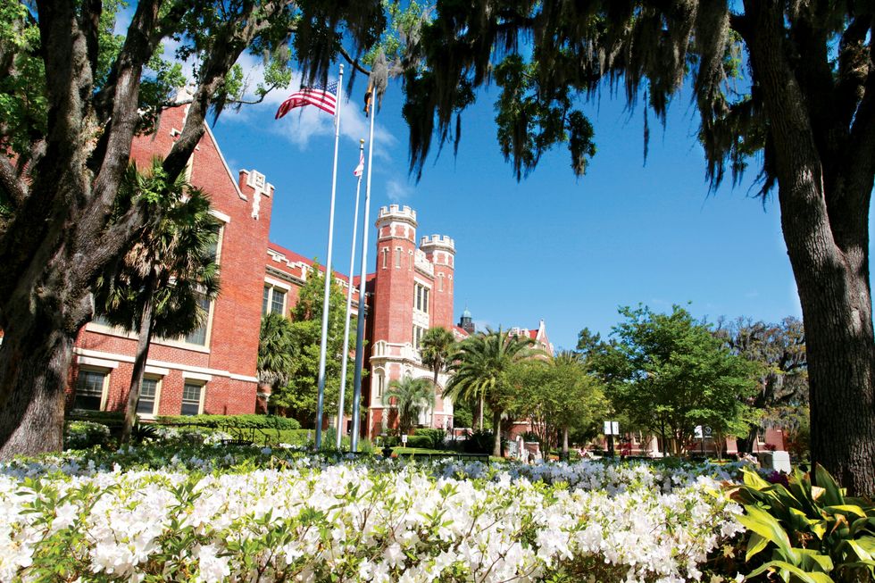 The ABC's Of Florida State University