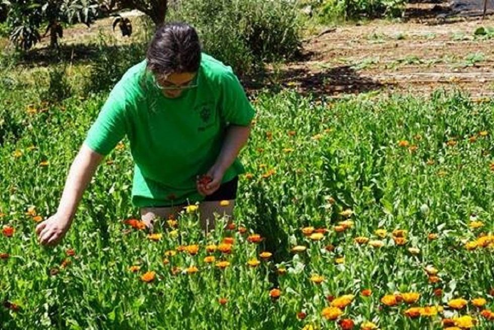 Sustainability Is The New Black: 7 Ways To Save Mother Earth