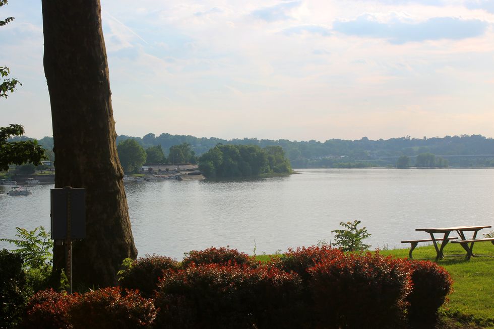 The Tale of Loving and How Eugenics Got Involved