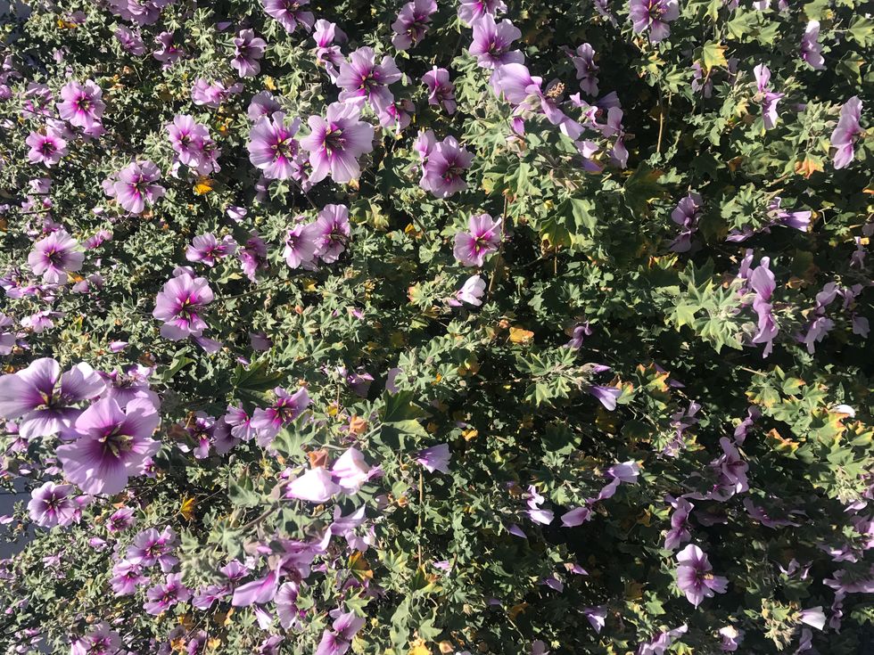 Why being an old soul isn't as great as it sounds