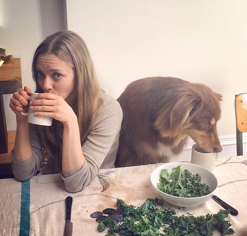15 Signs You Like Your Dog More Than You Like Most People