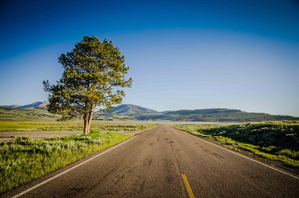 June 5th, 2017 - Greyhound Bus 174 - Sam