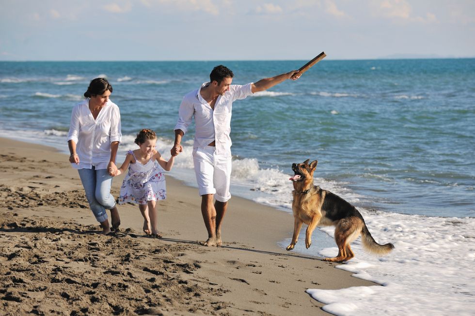 6 Ways You Know Your Pets Are Family