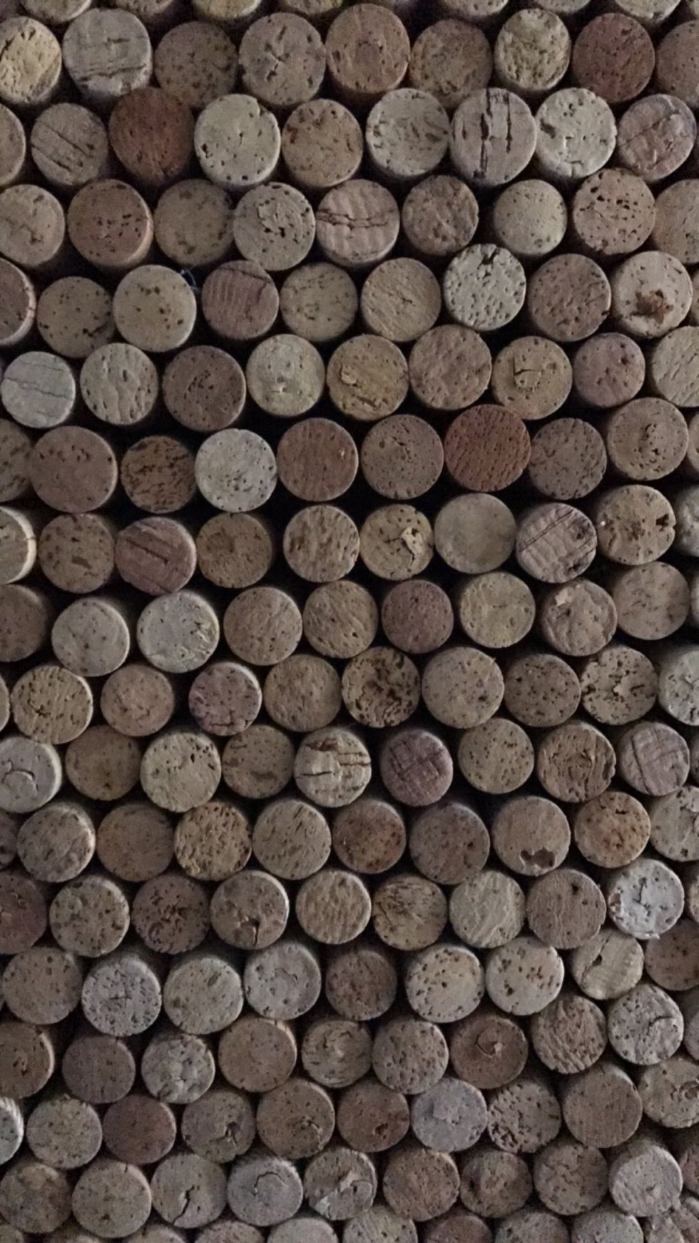 Unexpected Helping Hands