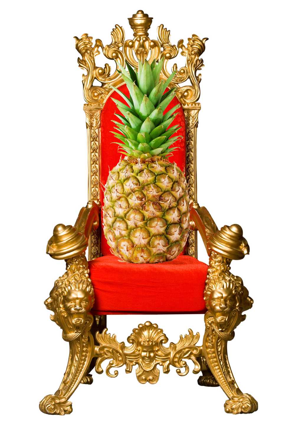 Requiem For A Pineapple: A Saga