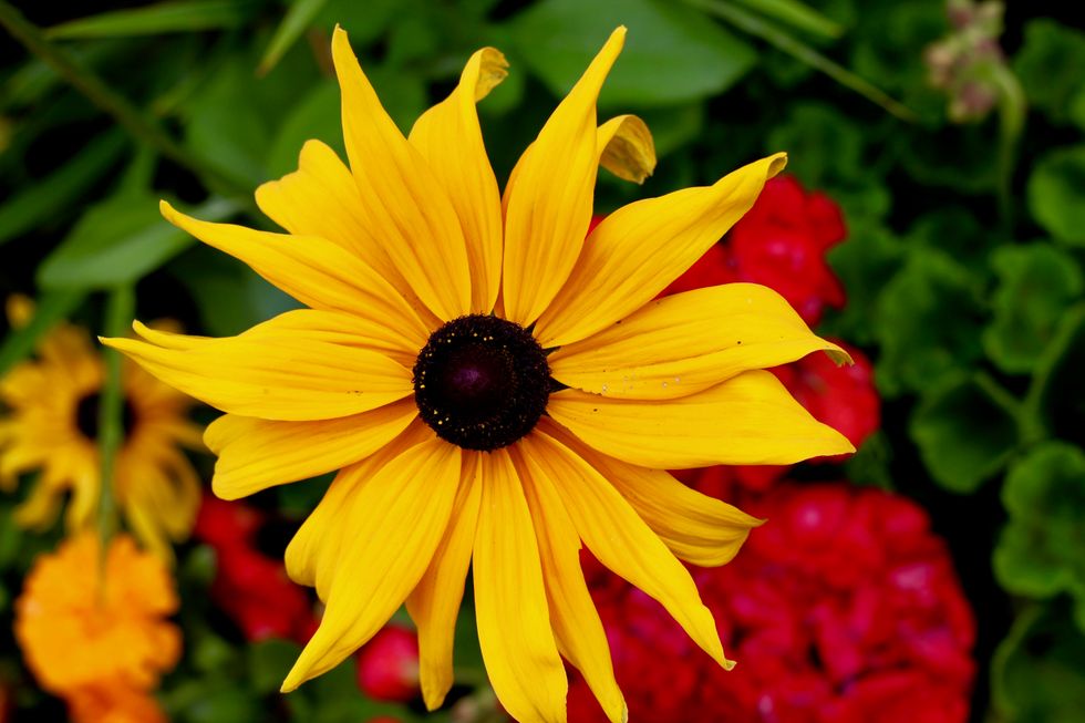 It Is Necessary To Take Time To Be Still