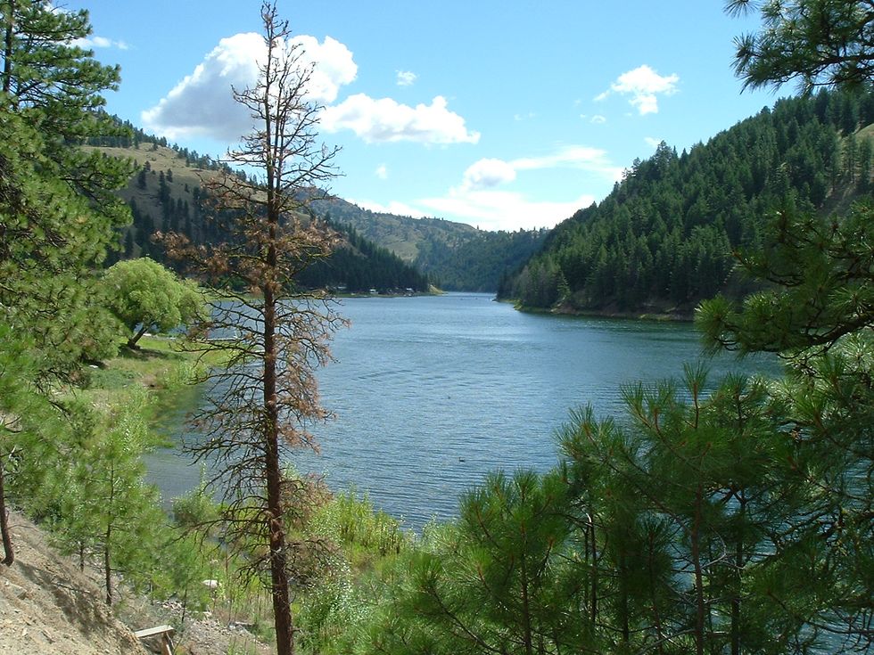 5 Things to Do in Washington This Summer