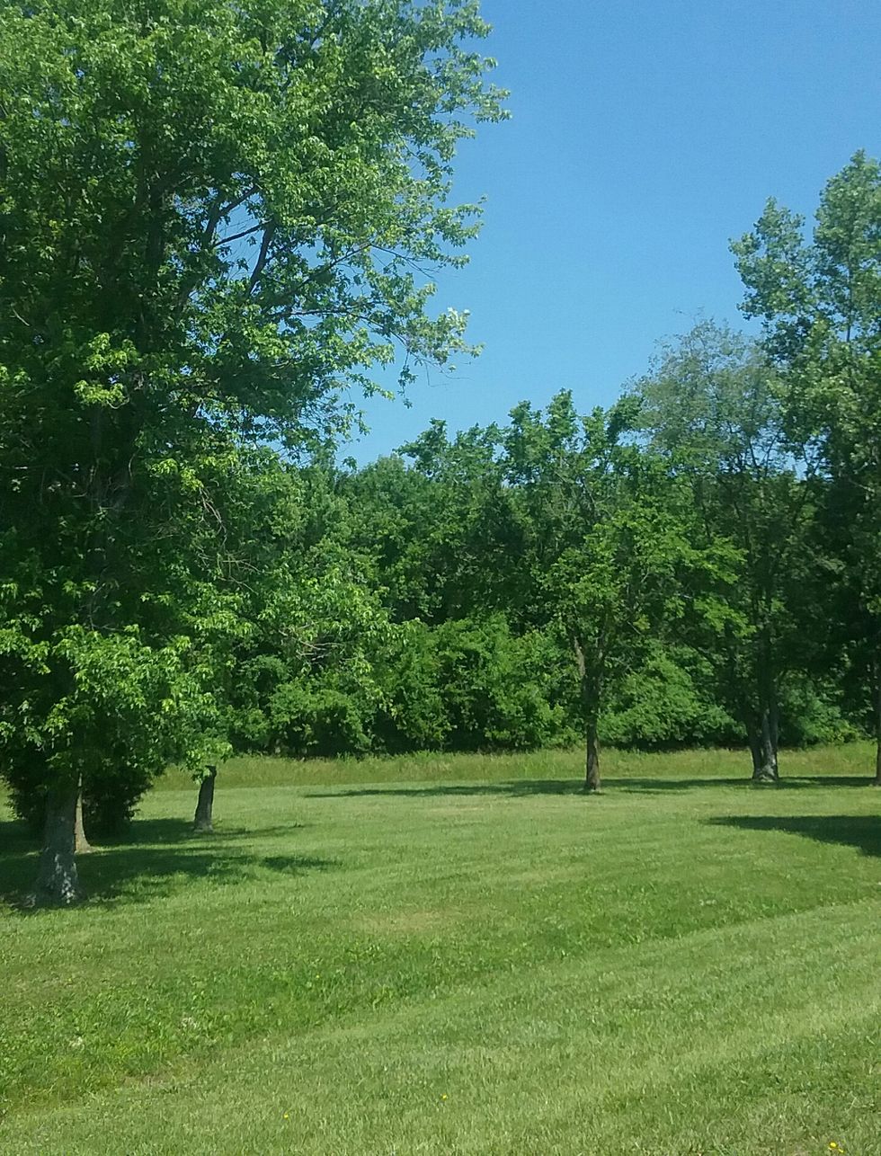 Beyond The Green Grass