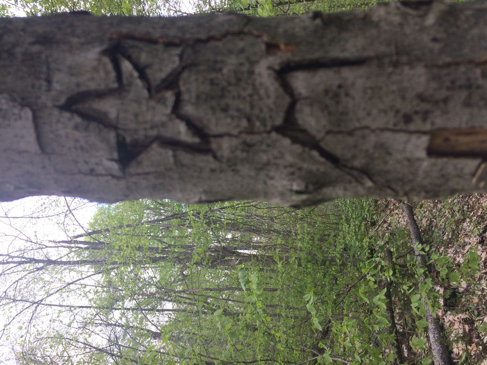 A Short Story About Life In A Post-Apocolyptic Future