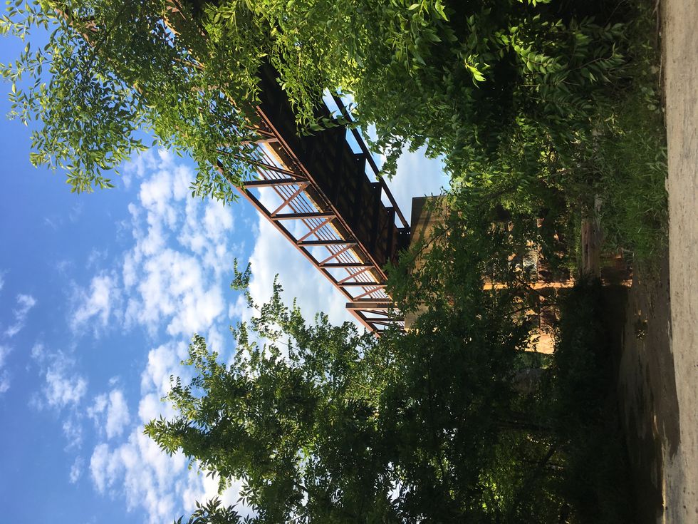 Living More Sustainably