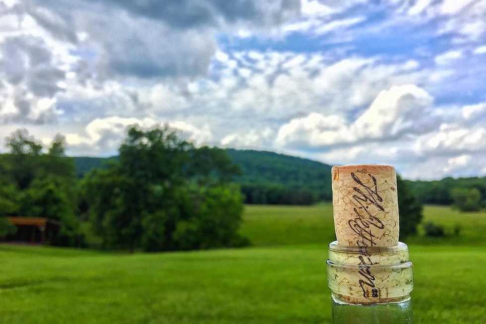 5 Wineries To Visit In Charlottesville, VA