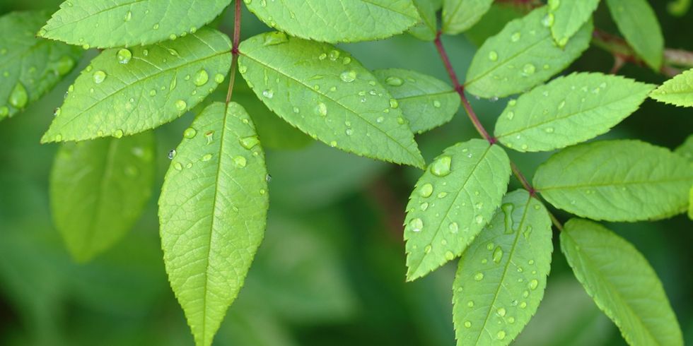 There Is No Limit In Practicing Purity