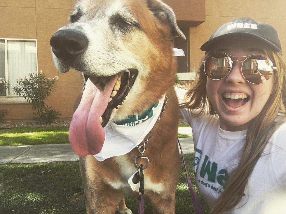 Wag! Uber For Dogs, Cash For College Students