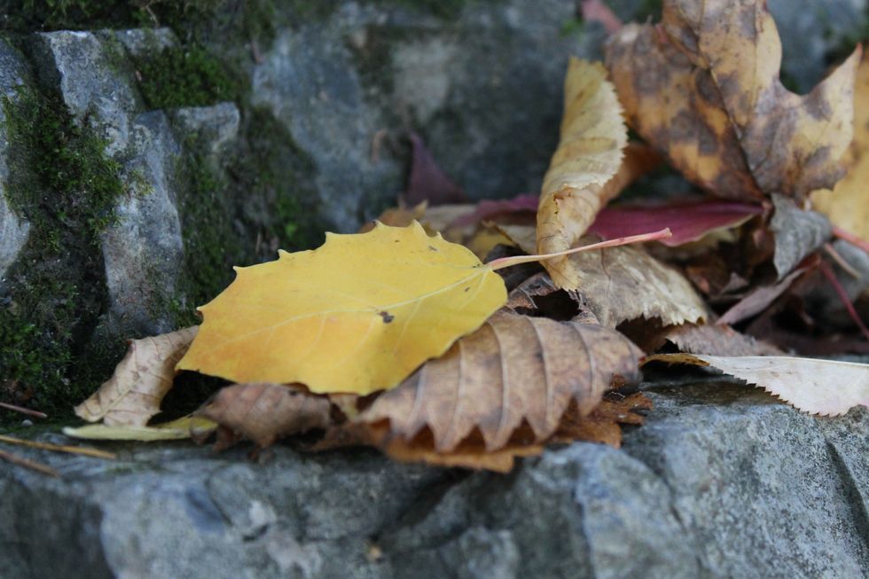 5 Phenomenal Hikes You Need To Take Around The Capital Region