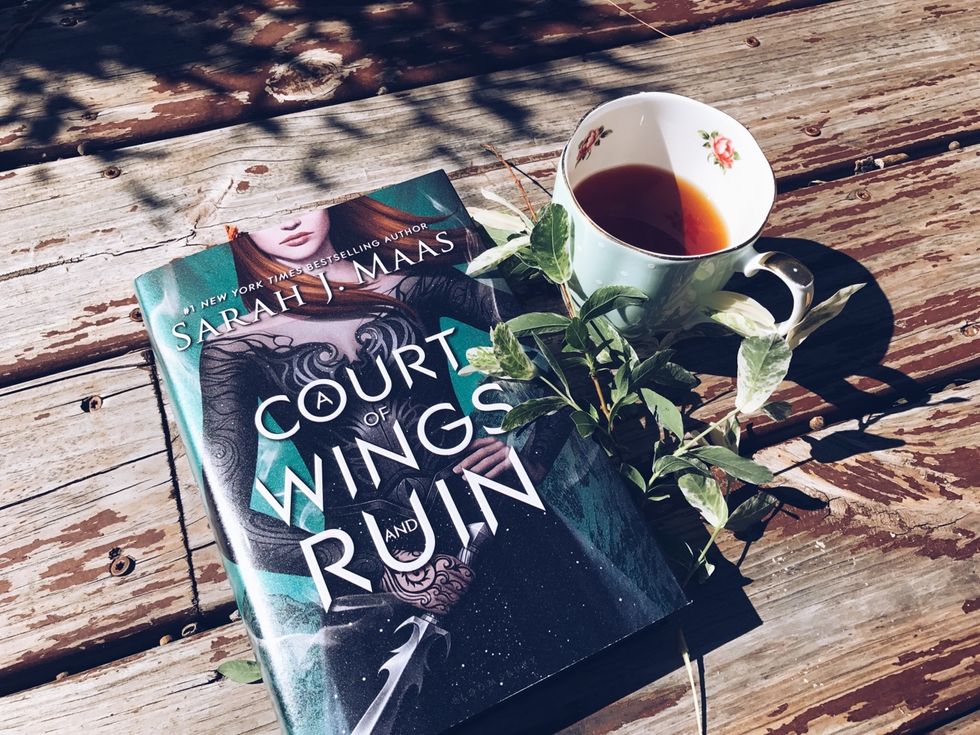 Series Wrap-Up: 'A Court Of Thorns And Roses'