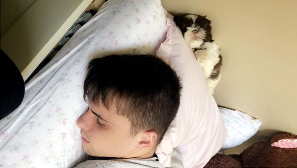 21 Things You'll Only Understand If You're A Crazy Dog Parent