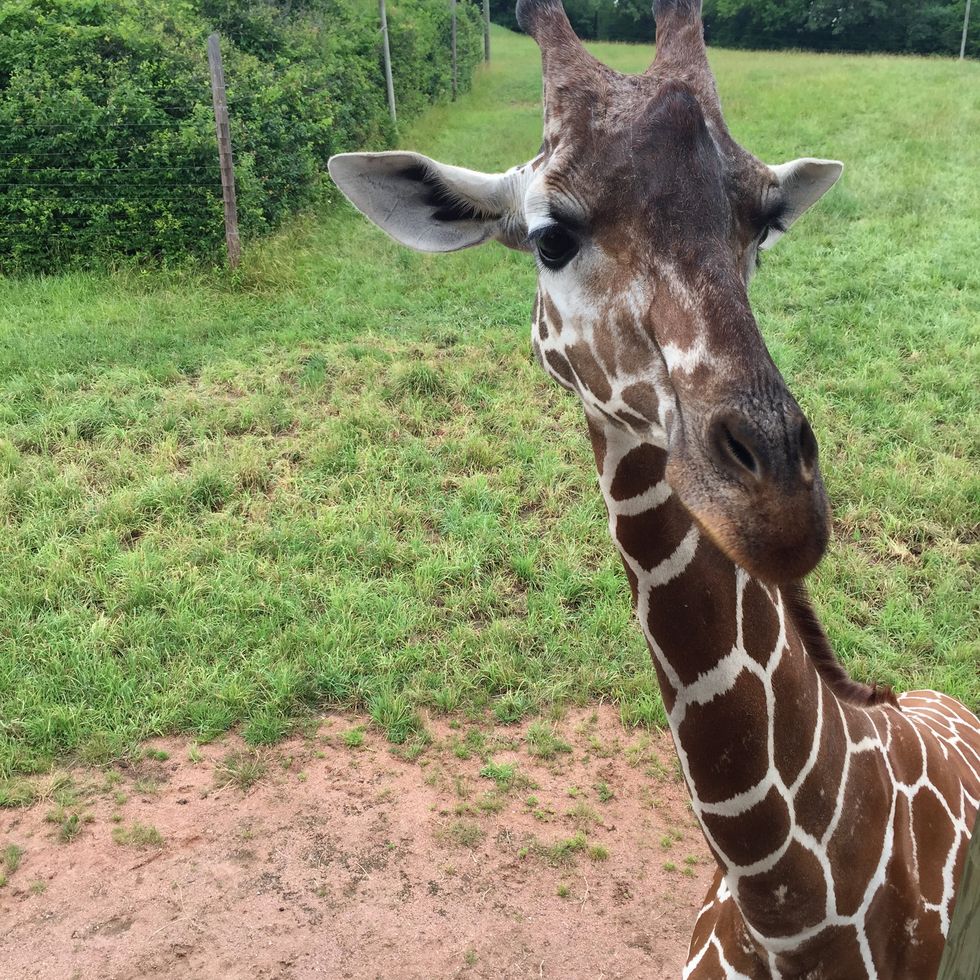 There's More To A Relationship Than Netflix