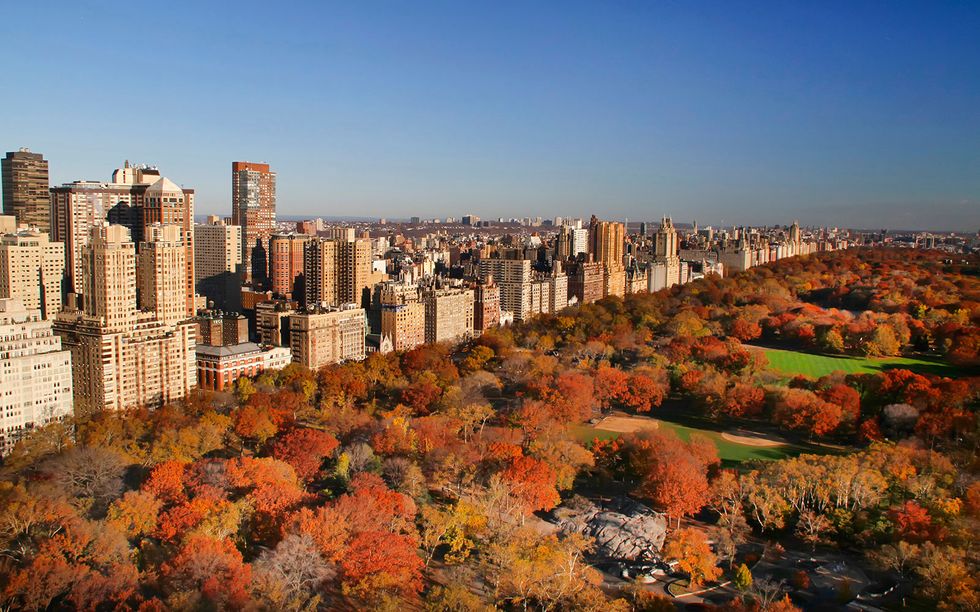 Fall Bucket List In New York
