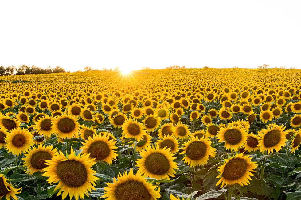 A Quote for Bad Days (and Five More)