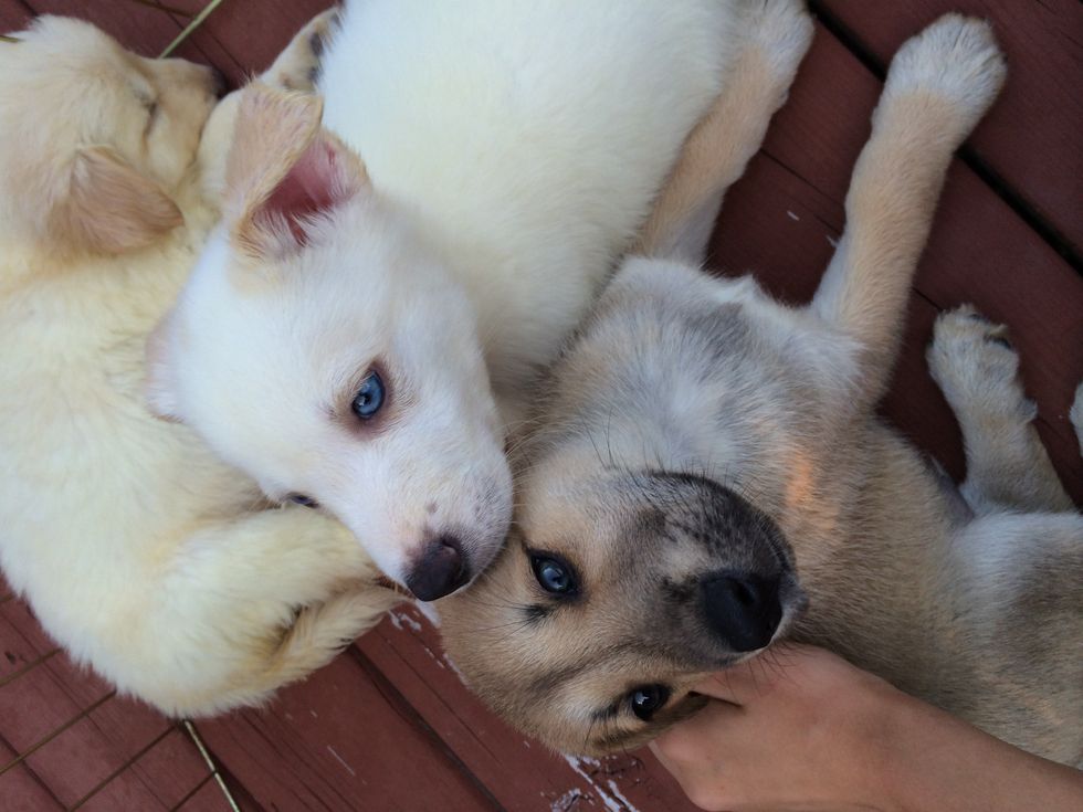 For love of the outdoors